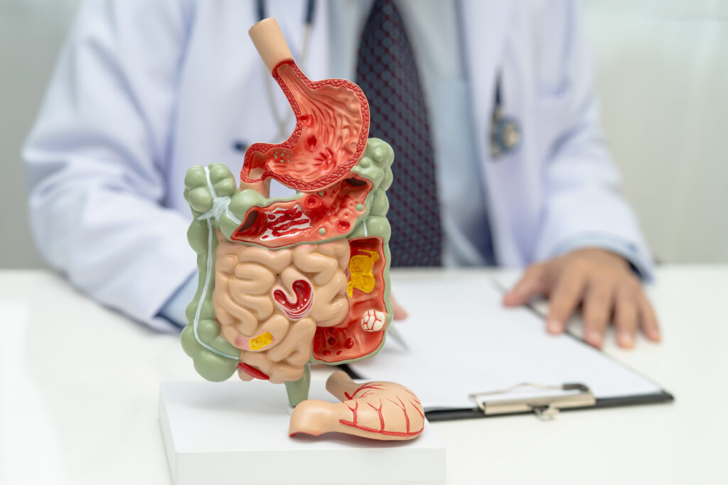 Gastroscopy vs. Barium Swallow vs. CT Scan: Which One Do You Actually Need?