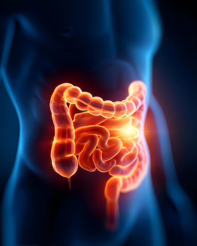 Upper Abdominal Pain After Eating: Is it Your Stomach or Gallbladder? A Stomach Specialist’s Guide 