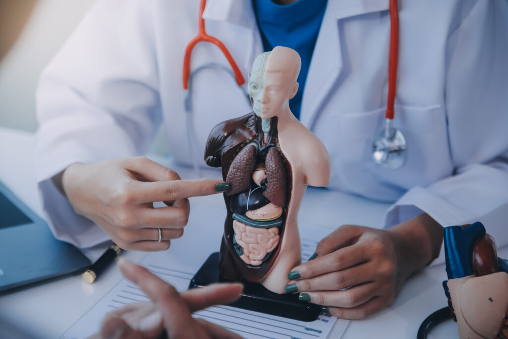 ERCP vs. Traditional Surgery: Comparing Types of Endoscopy