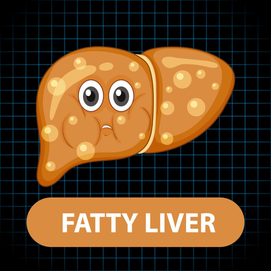 Liver