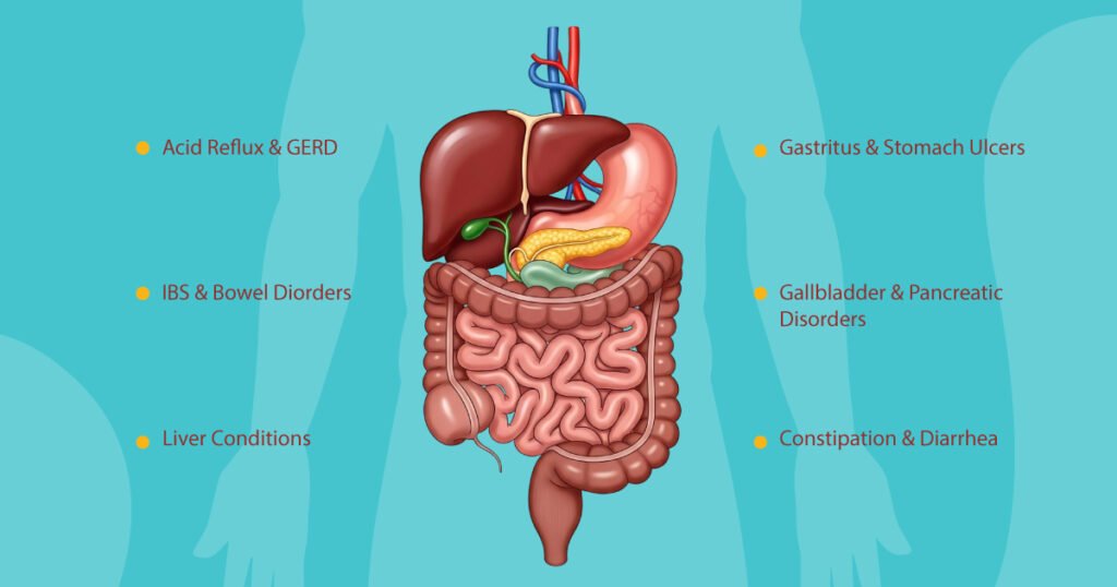 Gastroenterologist